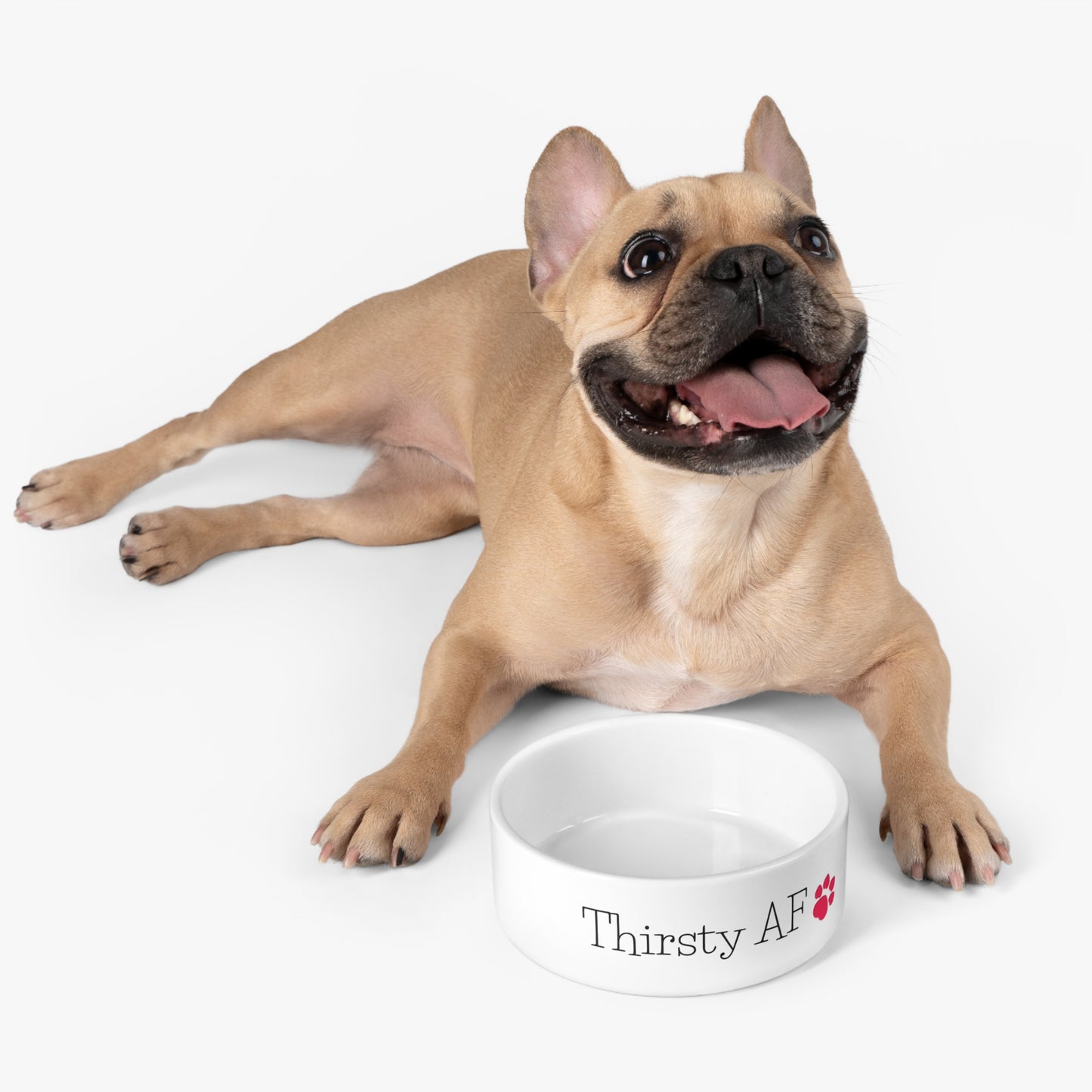Pet Bowl - Thirsty AF Dog Bowl