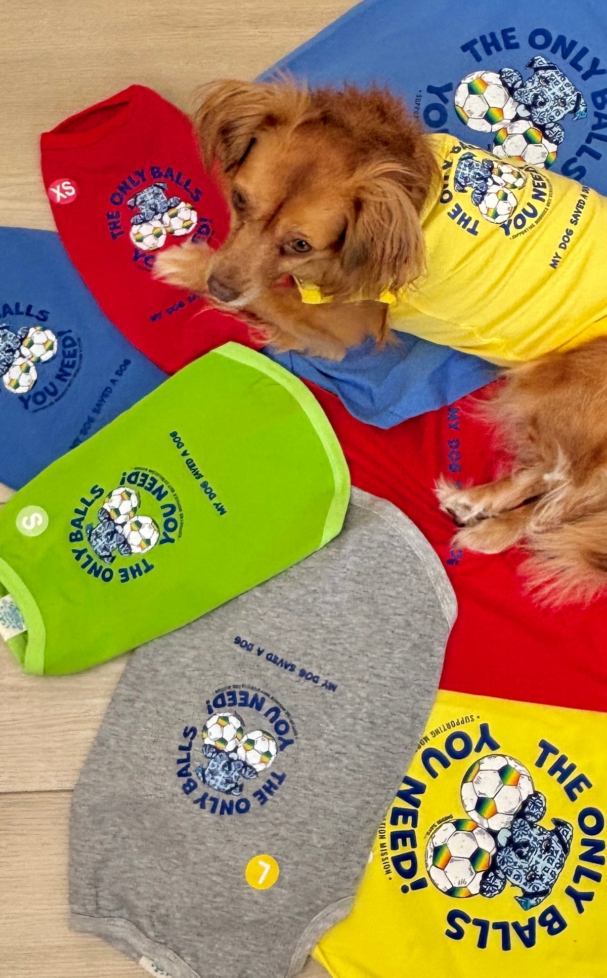 Morocco Mutt Mission Doggy Tees