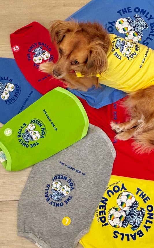 Morocco Mutt Mission Doggy Tees