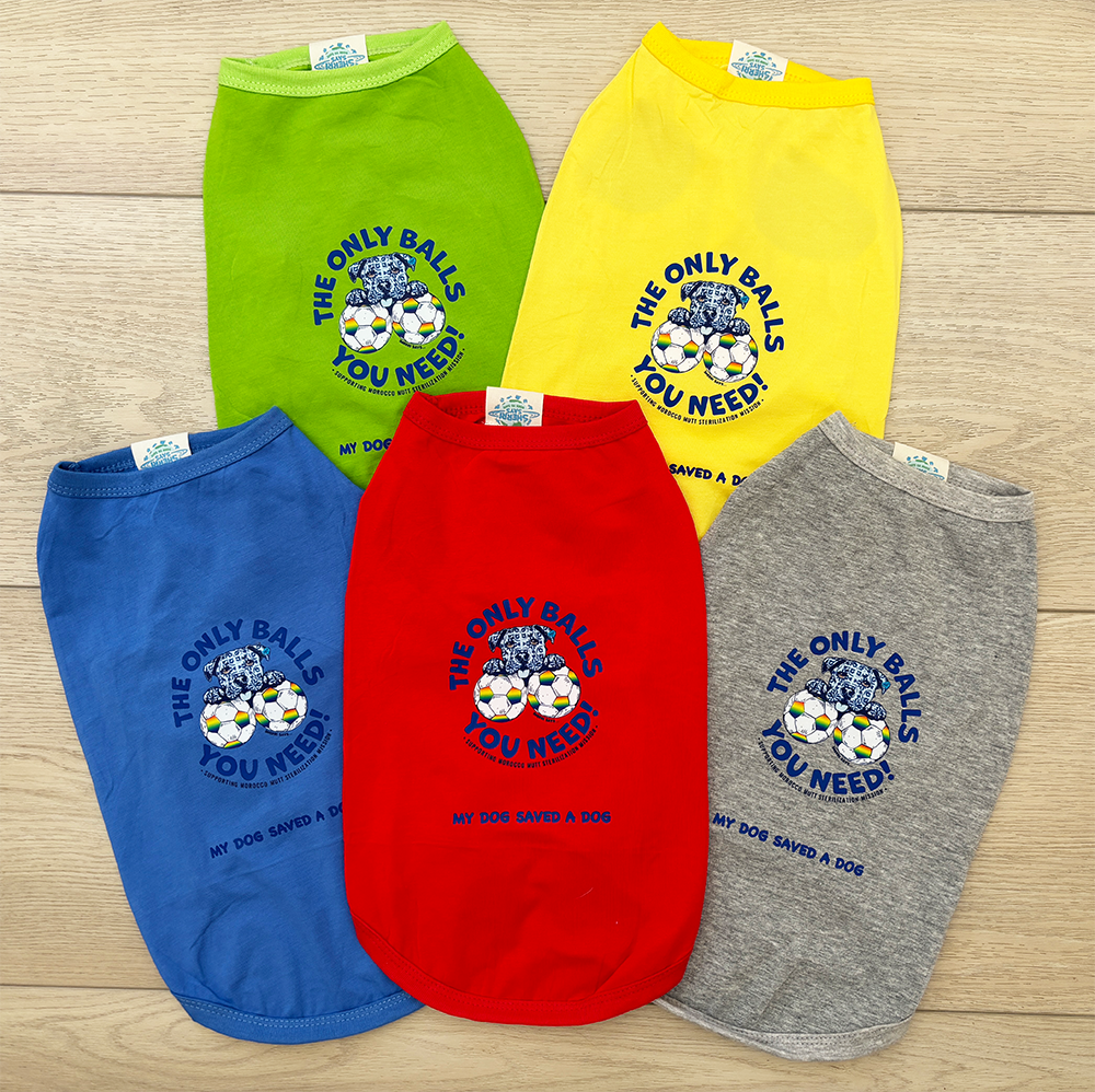 Morocco Mutt Mission Doggy Tees