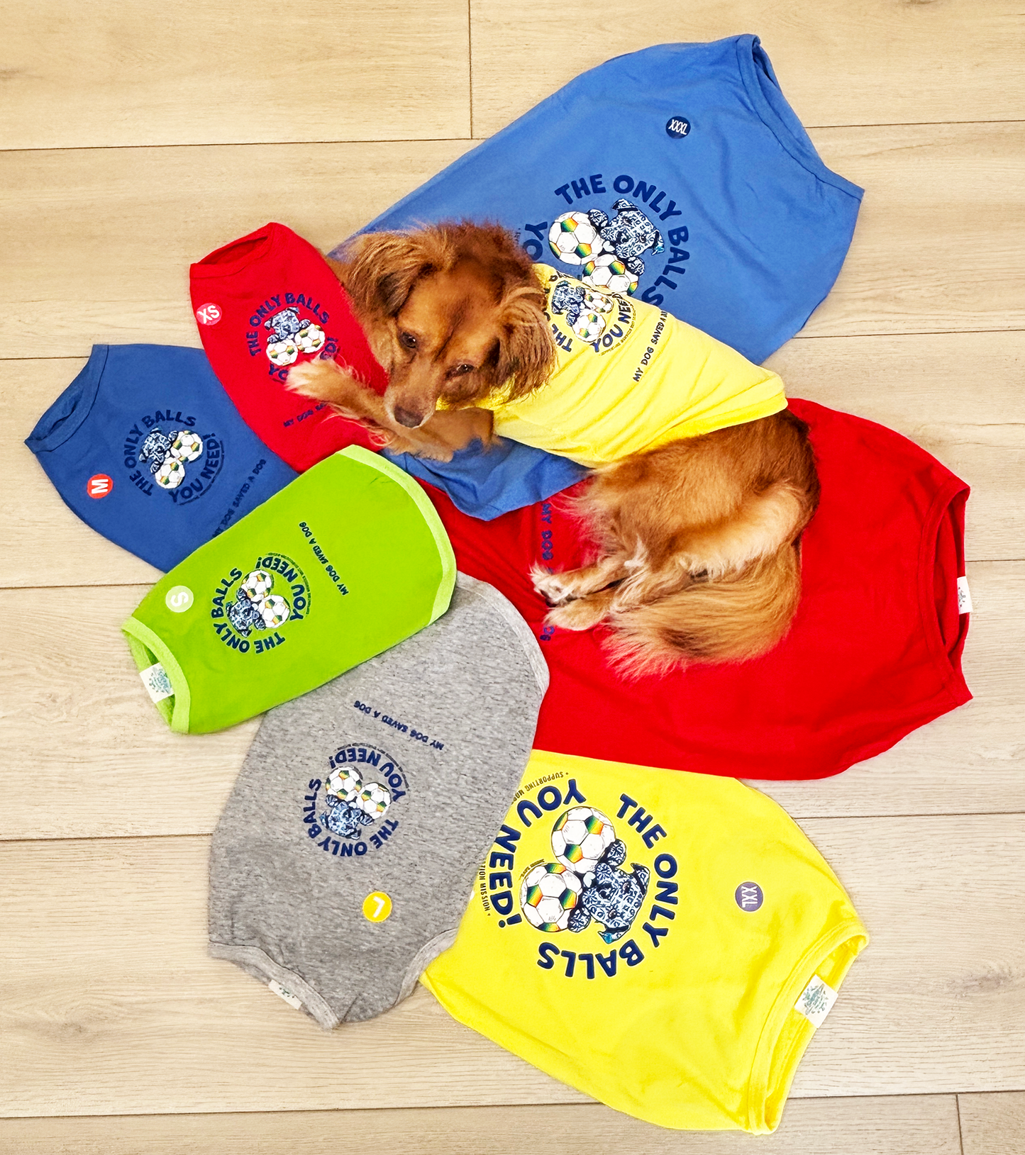 Morocco Mutt Mission Doggy Tees